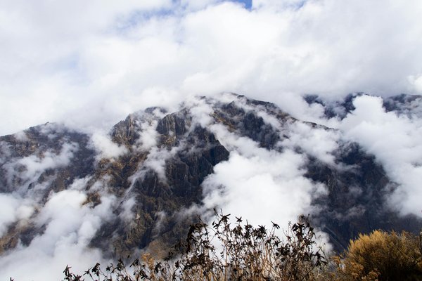 Comment obtenir le meilleur prix pour une croisière de dernière minute